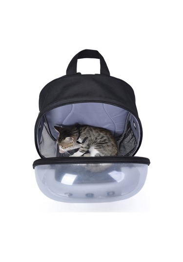 Springsun Yetişkinler, Gençler, Kampüs Sırt Çantaları, Yürüyüş, Tuval Okul Çantası İçin Aydınlık Sırt Çantaları Benzersiz Tasarım