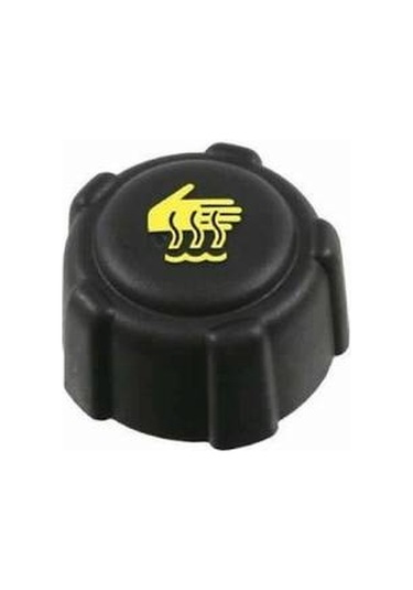 Renault Megane 2- 3 Fluence Laguna Kangoo Yedek Su Depo Kapaği