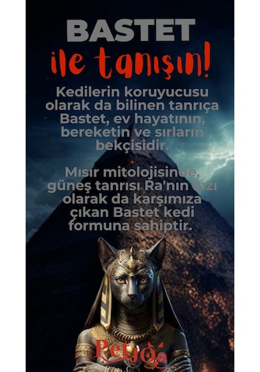 Petjoo 1.Bastet Kırmızı-Gri Qr'lı Kedi Künyesi