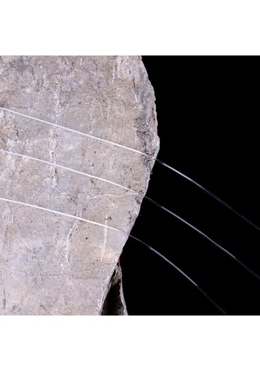 Yeni Dayanıklı Şeffaf Sinek Sazan Naylon Olta 500 M Aşırı Süper Güçlü Naylon Balıkçılık Linha Pesca Multifilamento 7.0