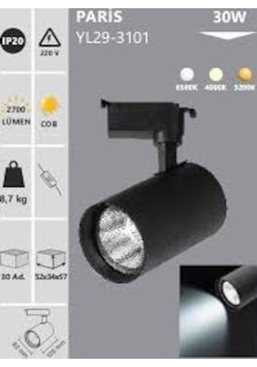 Noas 30 Watt Siyah Kasa Günışığı Ray Spot