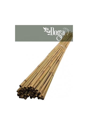 50 Adet Bambu Bitki Fidan Destek Çubuğu 190 - 200 Cm