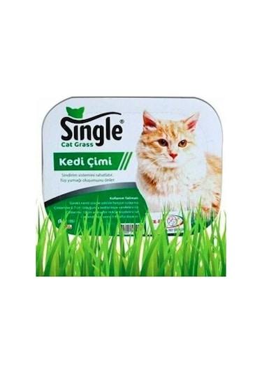 Single Natural Kedi Çimi