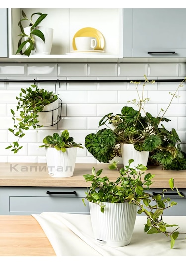 Al' Ternatıva Çiçek Saksısı 2 Litre, 5 Adet 206707323