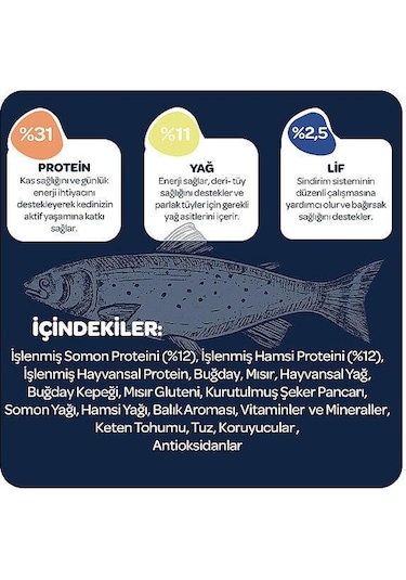 Obivan Somonlu Ve Hamsili Yetişkin Kedi Maması 2 Kg