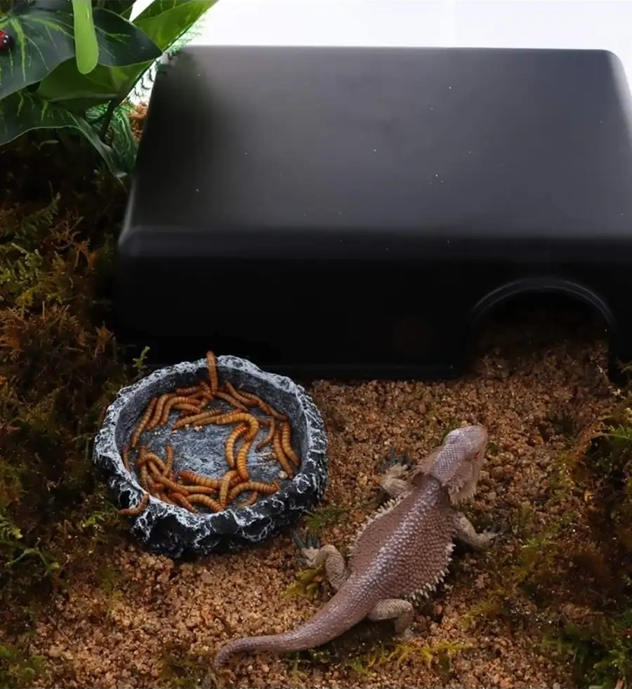 Petsroom Sürüngenler İçin Terraryum Kafesi Akvaryum Besleyici Abdesthiy Bulutma 23631176