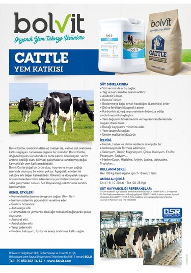 Bolvit Cattle - 20 Litre -  Büyükbaş&Küçükbaş