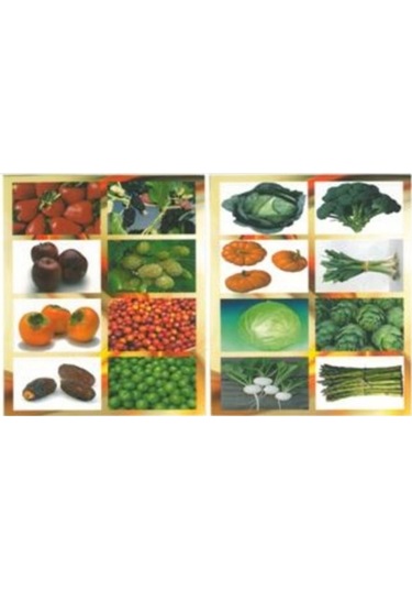 meyve ve sebzeler sticker çıkartma 8 yap.64 resim 4x4 ebat