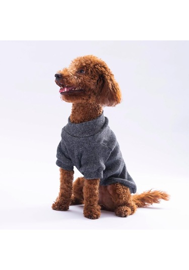 Pawstar Siyah Merino Esnek, Küçük Irk Triko Köpek Kazağı