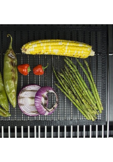 Pazly Fiberglas Yapışmaz Izgara Matı Rc44 Siyah 40x33cm 1 Adet Siyah