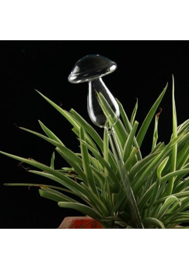 Sones Mantar Şekli Ev Bitkileri Çiçekler Su Besleyici Otomatik Kendiliğinden Sulama Şeffaf Cam Cihazlar Yeşil