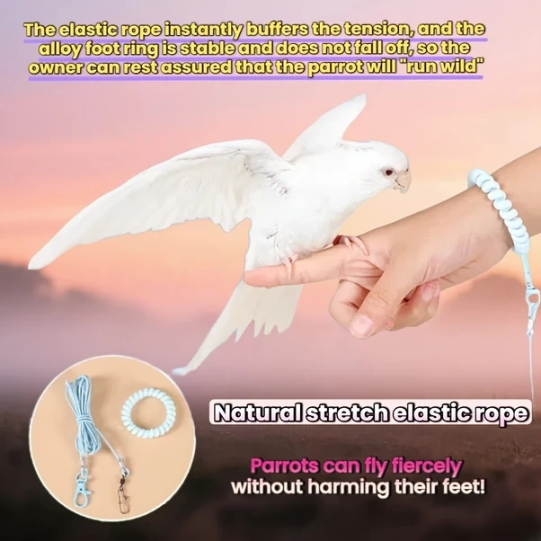 Elmpaly 78,74 İnç 3 Parça Mavi Papağan Tasma Seti - Esnek Lastik Kayış, Hafif Kuş Uçuş Göğüs Askısı