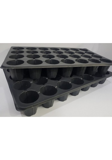 Fide Viyolü 28 Göz Fide Viyol Fide Viyolleri Fidelik Fide Kabı