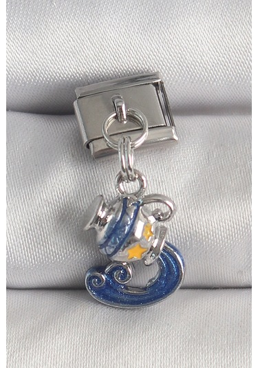 316l Çelik Gümüş Renk Sallantı Kova Burç Model Nomination Charm Çok Renkli