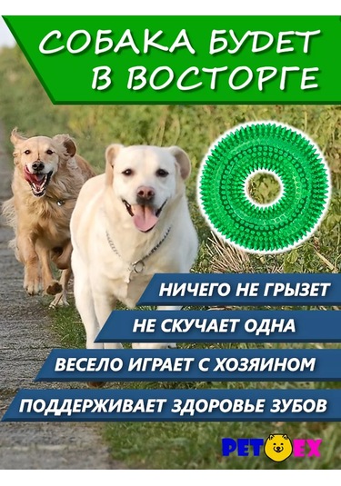 Pet-ex Büyük Köpekler İçin Cırtlak Ve Dikenli 13 Cm Tasmalı Kolye 241053911