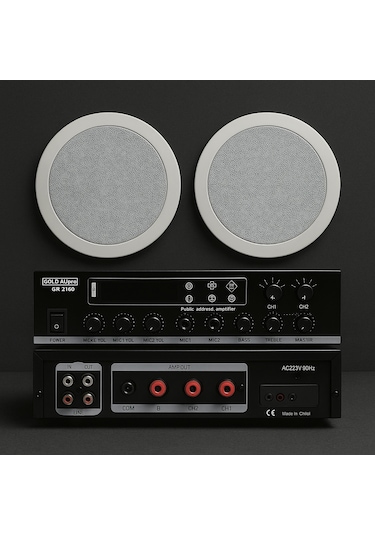 Luxury, 2 Adet Hoparlör 1 Adet Anfi, Asma Tavan Ses Sistemi, Alçıpan Tavan Ses Sistemi, Mağaza Ses Sistemi