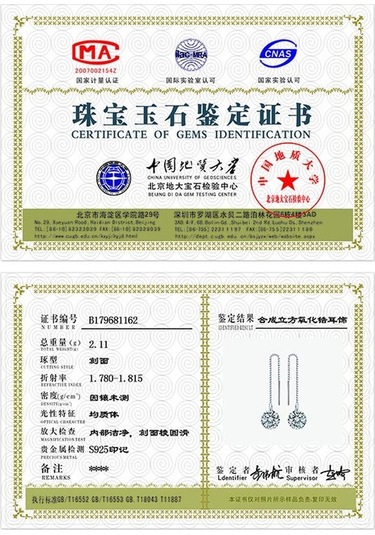 Jewelrypalace Kübik Zirkonya Küpe 925 Ayar Gümüş