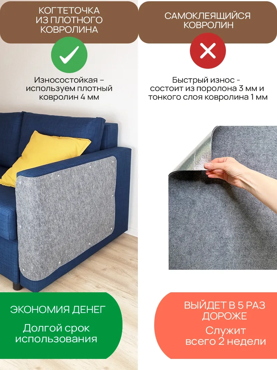 Aseliadia Kedi Kınağı - 80x50 Cm Kanepe Tipi 191549420