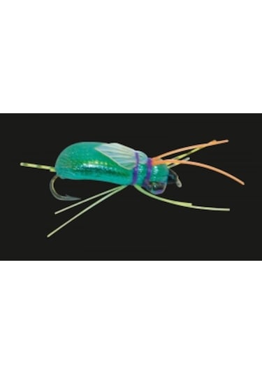 Virgo Ağustos Böceği Yem