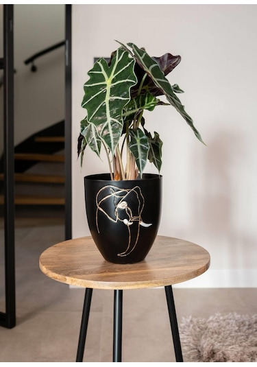 Lea Fil Desenli Siyah Metal Saksı Çap 18cm Yükseklik 19cm