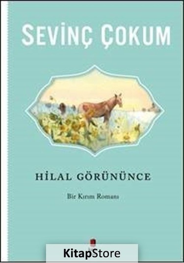 Kitapstore Hilal Görününce / Sevinç Çokum