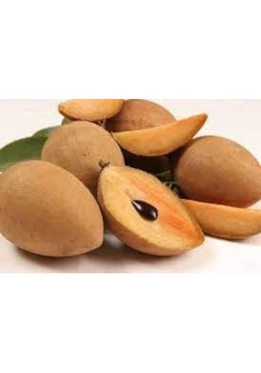 Tohhum Sapodilla Meyvesi Tohumu