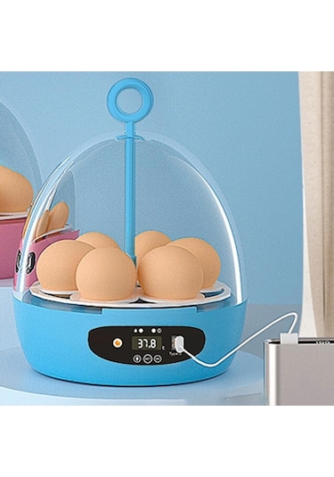 Diğer Suntek Mini 6 Yumurta Kuluçka Makinesi Hatcher Usb-otomatik-mavi