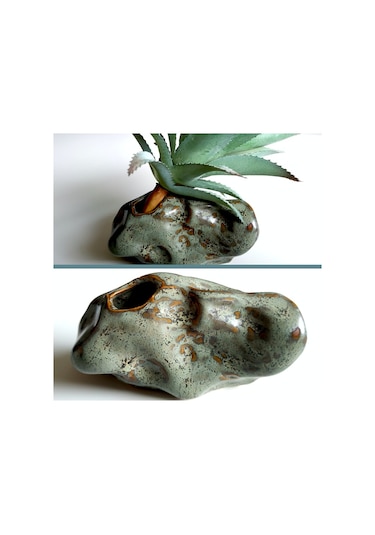 Omeniv Minyatür (Mame) Bonsai Kaktüs Sukulent Amorf Saksı