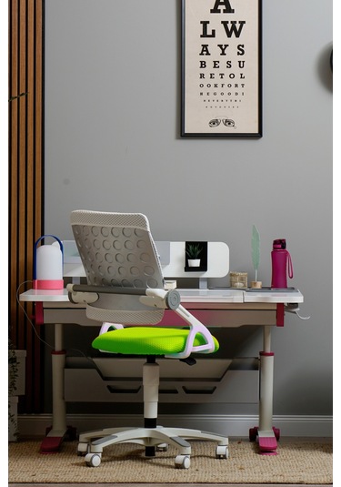 Creo Mobili Yükseklik Ve Sırt Ayarlı Sirius Çalışma Sandalyesi Ofis, Bilgisayar Koltuğu Beyaz/yeşil Gri