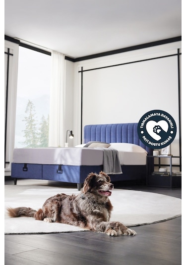 Yataş Bedding Lento Baza, Somni Başlık 2'li Set 120x200 - Lacivert