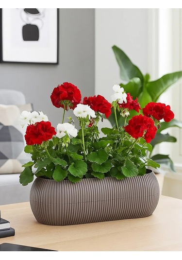 Idea Ev İçi Çiçekler Ve Sukulentler İçin Saksı 1,3l 147332120