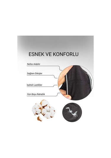 Alya Underwear Kadın Pamuklu Hipster - Slip Külot 5 Farklı Renk 1 Pakette Siyah P13