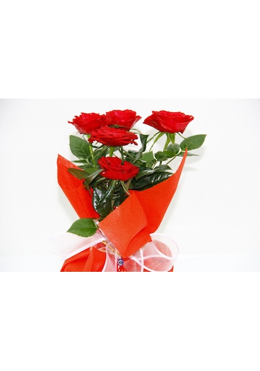Kırmızı Mini Gül - Sevgililer Günü Ve Özel Gün Hediyesi