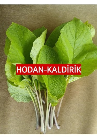 250 gram  Kaldirik - Hodan - Ispıt Otu