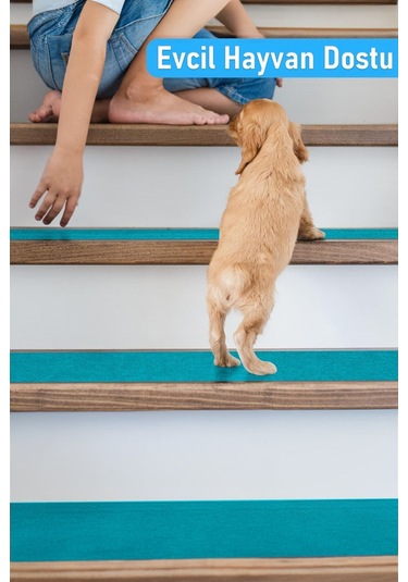 Halifleks Yapışkan Tabanlı Merdiven Basamak Paspası Rip Halı Kaymaz Tabanlı - Turkuaz Null