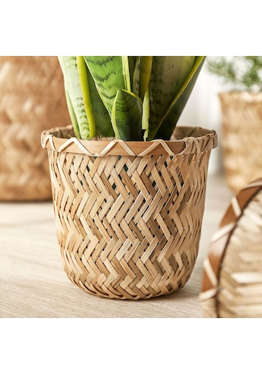 Bambu Saksı, Bambu, 12 Cm 3 Adet