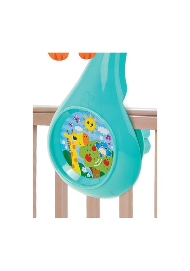 Winfun Orman Arkadaşları Dönence - Standart