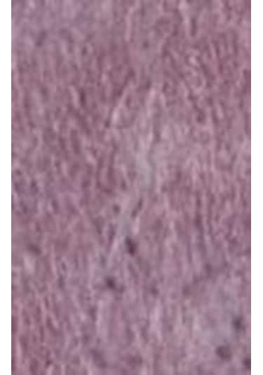 Cadence Eskitme Boyası 120Ml - 303 Bordo