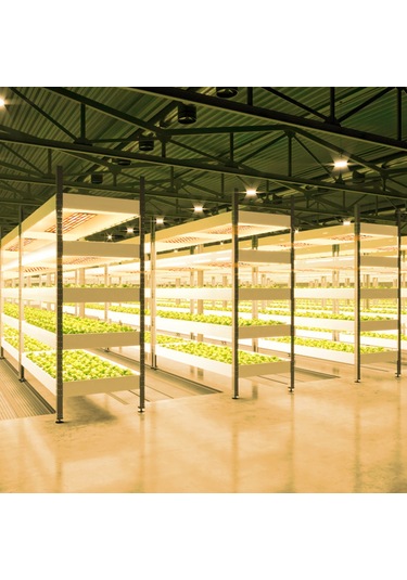 Reedark Akıllı Zamanlama Ve 6 Parlaklık Seviyeli Led Bitki Büyüme Lambası - İç Mekan Bitkileri İçin Tam Spektrumlu 112 Karakter Diğer