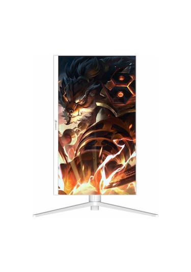 Gamebooster Gb-2718ffw 27" 165hz 0.5ms Hdmı+dp Hdr Fullhd G-sync Freesync Ips Pivot Vesa Monitör