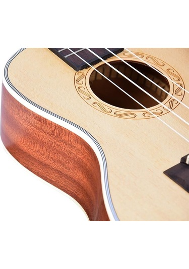 Tayste Tuk210-24 Concert Ukulele