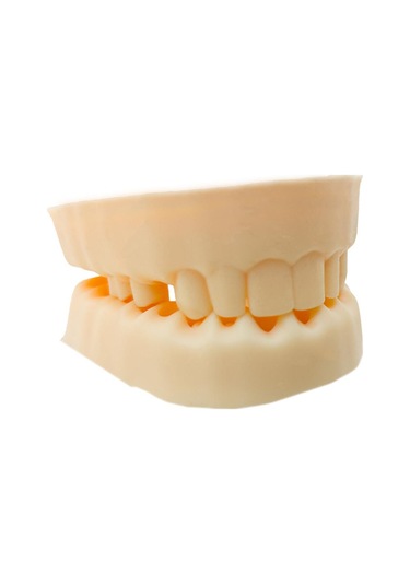 Barışhan Medikal Silikon Çene Diş Dikiş Modeli Ortodontik Alt Üst Çene Periodontal Sütür Eğitim Modeli-4