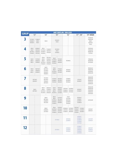 245/40x18 Ebatlarına Uyumlu Takmatik X Tipi Kar Patinaj Zinciri Prozin