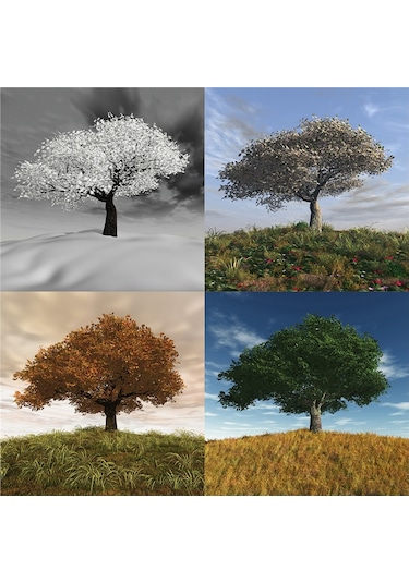 Dört Mevsim Ağaçlar Doğal Taş Bardak Altlığı 4'lü Set - Natural Stone Coasters - Taş Çok Renkli