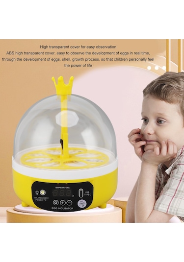 Qfbl Ev Için Mini Yumurta Kuluçka Makinesi Otomatik Sıcaklık Nem
