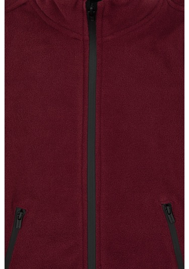 U.s. Polo Assn. Erkek Çocuk Plum Hırka Örme 50313853-vr177 New Plum