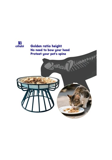 Willowhaven Yeşil Pençe Desenli Yükseltilmiş Seramik Kedi Kabı Metal Standlı