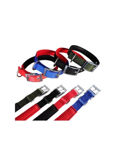 Köpek Boyun Tasması Hrb-026 Çok Renkli