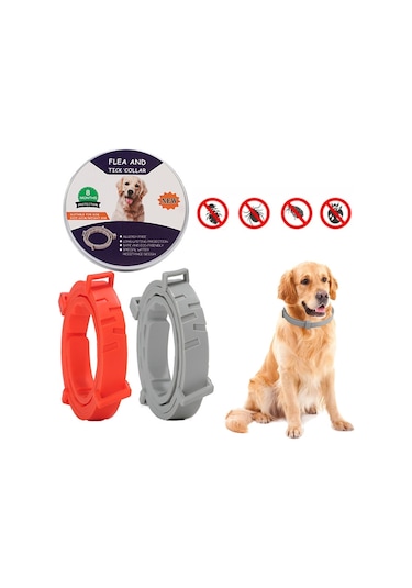 Pire Ve Kene Yaka Köpekler İçin Alüminyum Kasa İle Kediler, Boyut: 72cm Turuncu Çok Renkli