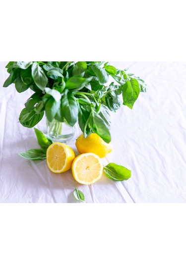 Limon Fesleğen Tohumu 100 Adet